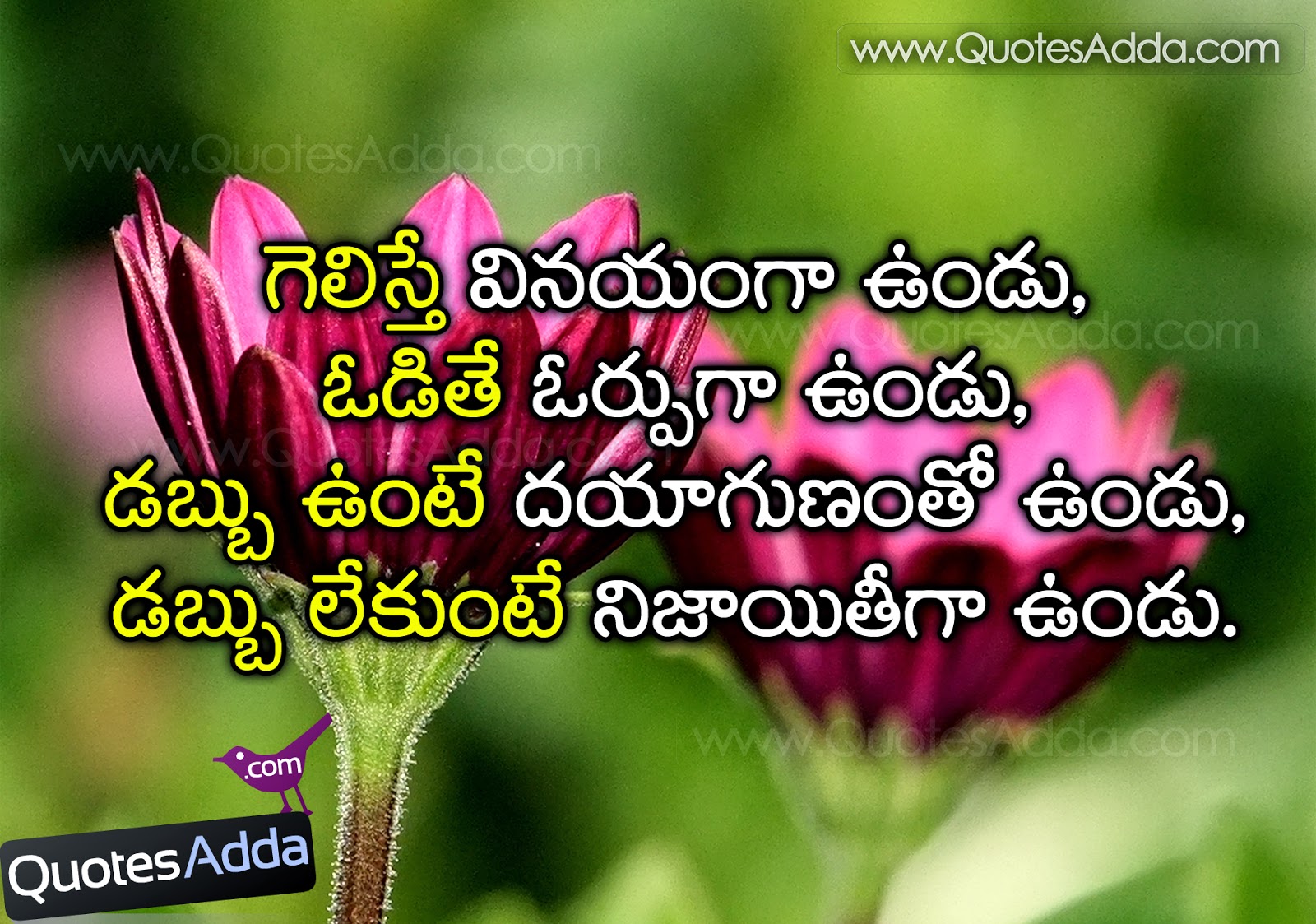 Telugu Nice Life Quotations for Learners Jun05 QuotesAdda 1600—1123 rag