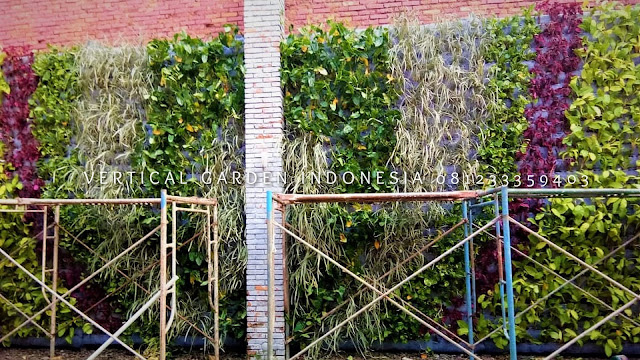 VERTICAL GARDEN INDONESIA SPESIALIS JASA PEMBUATAN VERTICAL GARDEN DI PURWOKERTO JAWA TENGAH DAN DI SELURUH WILAYAH JAWA TENGAH DENGAN TENAGA YANG PROFESIONAL DAN DAPAT DI PERCAYA YANG SELALU MENGUTAMAKAN SEBUAH MUTU DAN KUALITAS PEMASANGAN VERTICAL GARDEN/TAMAN DINDING, JASA TUKANG TAMAN VERTICAL PURWOKERTO JAWA TENGAH, JASA VERTICAL GARDEN PURWOKERTO JAWA TENGAH