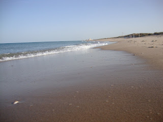 La Devesa Beach Photo - Sand and Sea