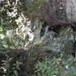 View album