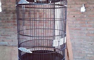 21+ Merk Cat Untuk Sangkar Burung, Yang Indah!