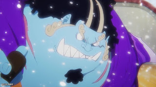 ワンピース アニメ エッグヘッド編 1089話 ジンベエ ONE PIECE Episode 1089