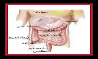 اسباب انتفاخ البطن