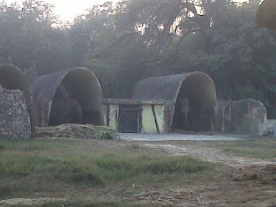 Elephants in Delhi Zoo