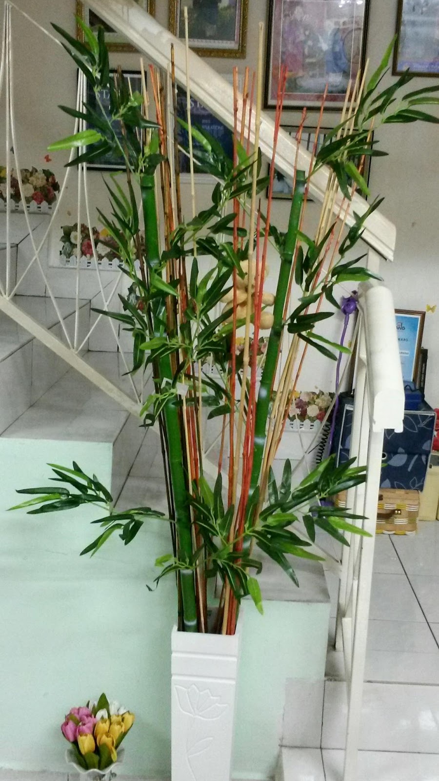 DIY POKOK BULUH HIASAN DALAM RUMAH  MAMA MASZULL 