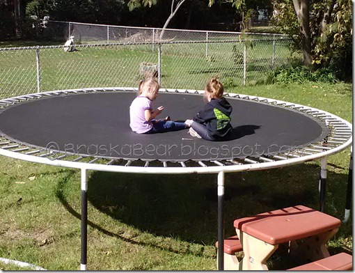 sisterstrampoline
