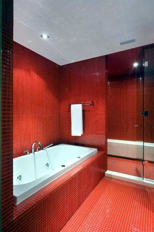 Bathroom designs with red walls