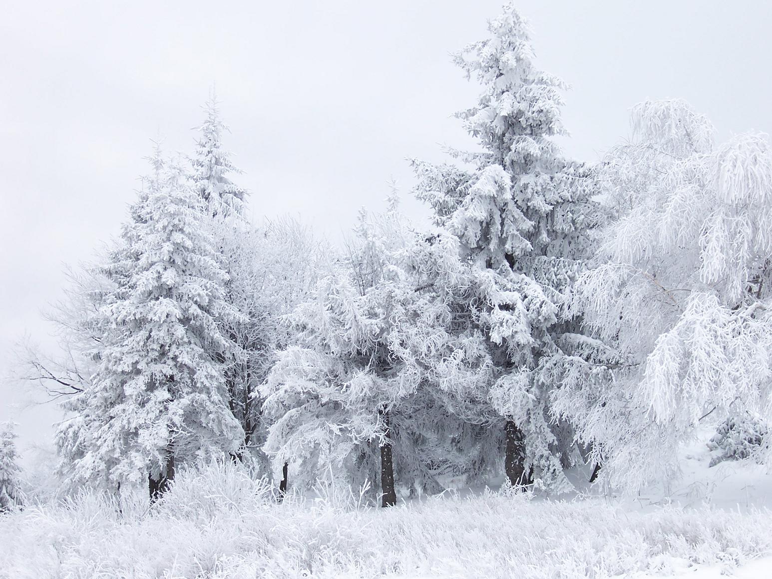 christmas snow scene