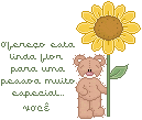 Flores para você (9)