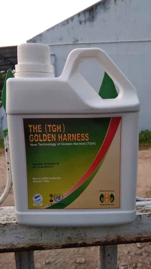 THE GOLDEN HARNESS (TGH)