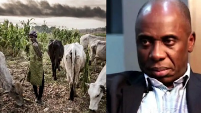 I Started Ruga In Rivers State But Wike Stopped It – Rotimi Amaechi (Video) 