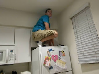 owling in the kitchen
