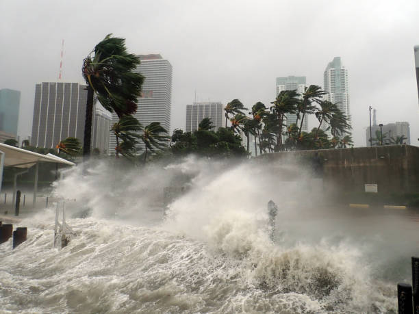 Tempestade Idalia pode atingir Flórida como furacão