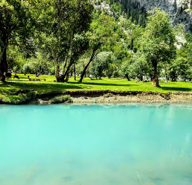 Famous & Amazing Shahi Bagh to Visit in Swat, Pakistan