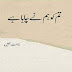 Free Download Urdu Novel tum ko hum ne chaha hai by rahat jabeen