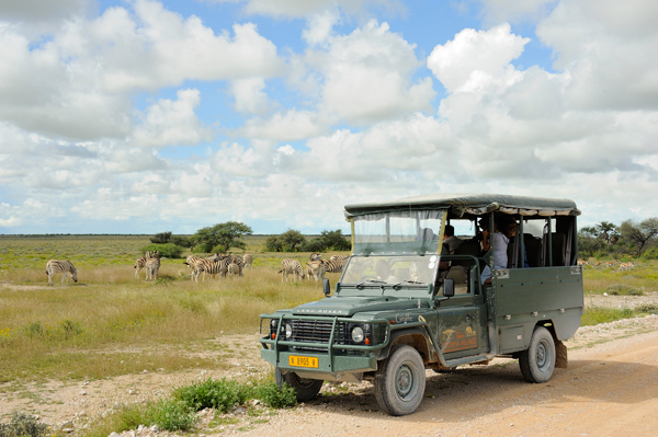 Taleni Etosha Village Namibia game drives