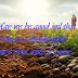 The Parable of the Sower