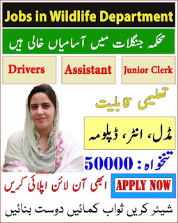 Forest Department Jobs 2022 Advertisement 
