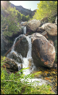 Stairs Gulch - Big Cottonwood Canyon