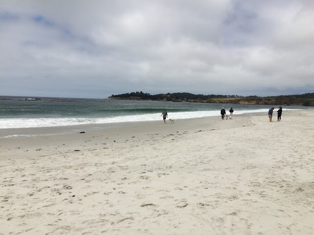 Beach at the end of Ocean Avenue