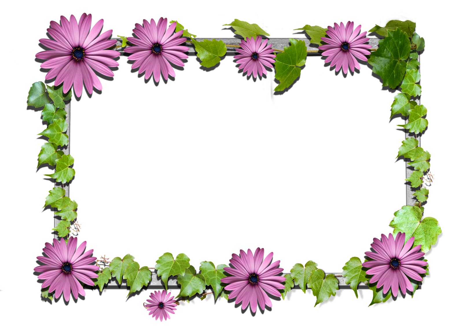 Flower frame png