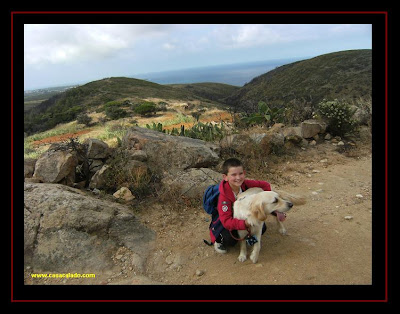 Dog Trekking to Guincho