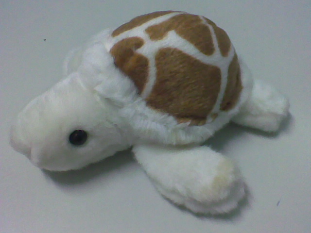  Boneka  Kura kura Souvenir Cantik