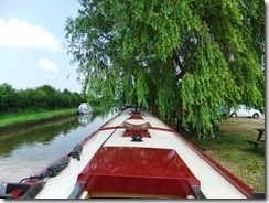 DSCF3796