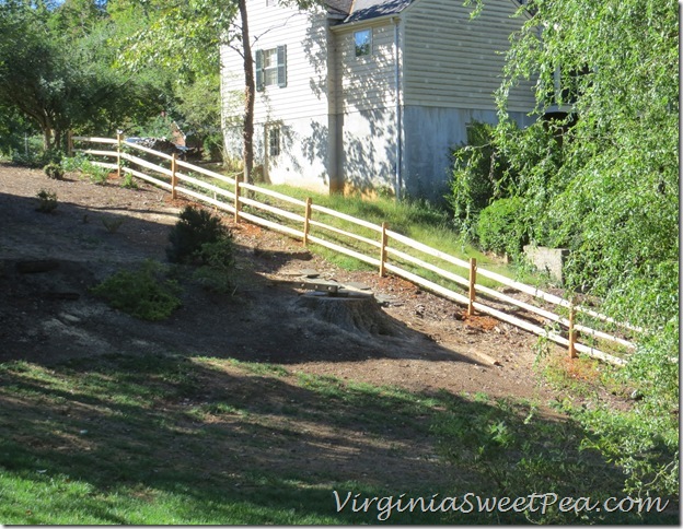 New Fence1