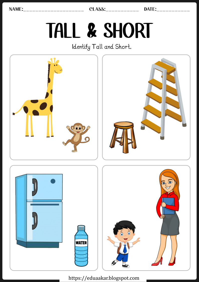 Tall and Short - Worksheet Digital