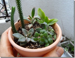 P1010070