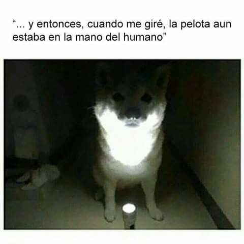 Historias perrunas de miedo