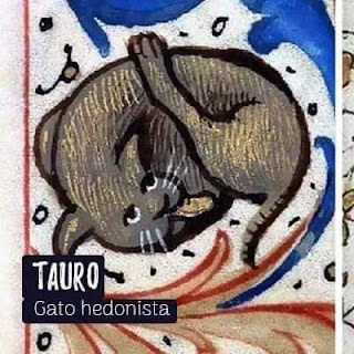 Tauro Gato Hedonista (20 de abril - 20 de mayo)