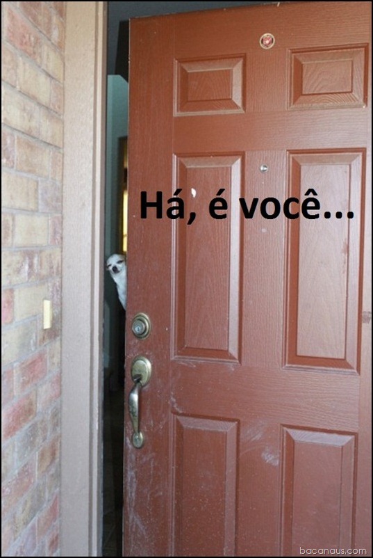 é voce bacanaus