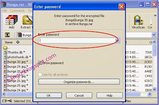 cara membuat password pada file