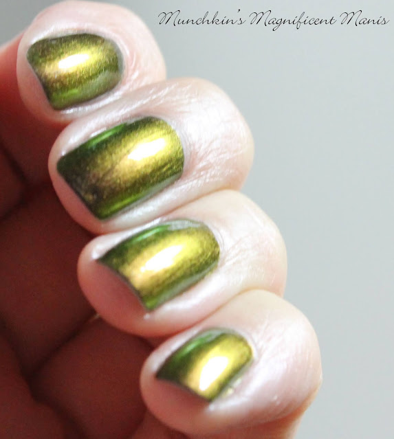 Holo Taco Multichrome Collection- Cats' Evasion