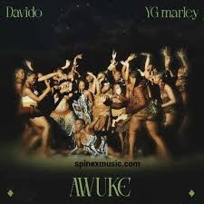 Davido - Awuke ft YG Marley Mp3||Do you know that "Awuke" by Davido is out? This is a beautiful song by Davido which host vocals from YG Marley, you can wait to listen to this song, check it out.