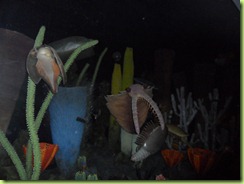 SAM_0487