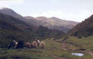 imagen de la serrania peruana