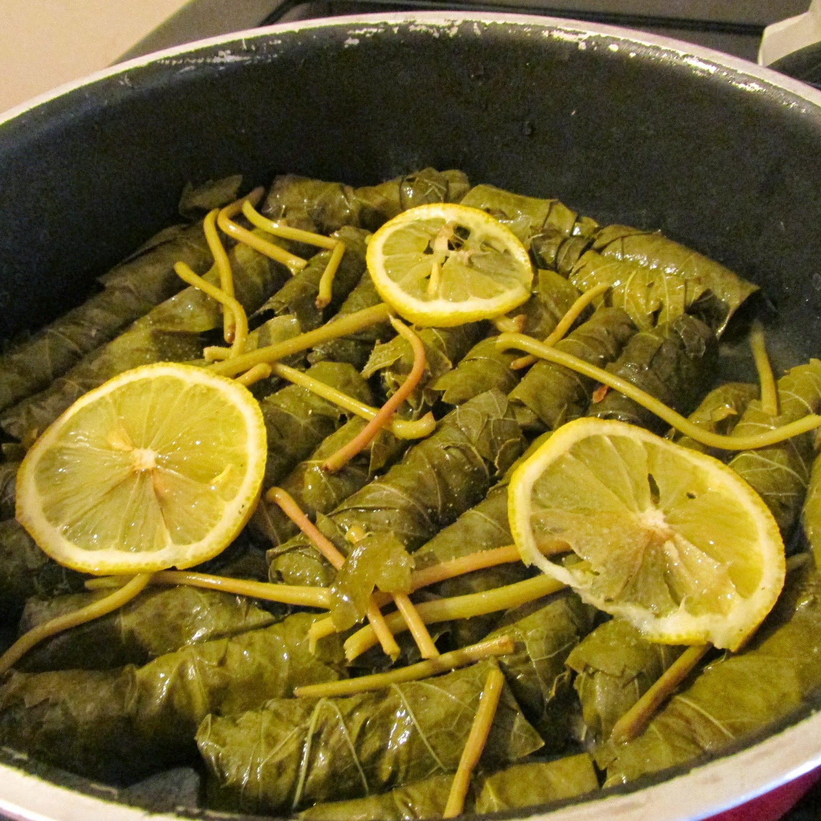 zeytinya li yalanci dolma 10