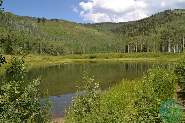 First view of Willow Lake