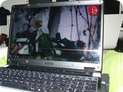 SNC18570_resize