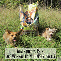 Pinnacle dog food review