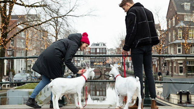 Thành phố Amsterdam, Hà Lan “phát chồng” cho nữ du khách 7