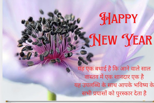 Happy-New-Year-Shayari-in-Hindi-2024 Naya-Saal-Ki-Shayari-download