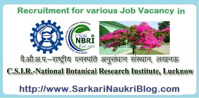 Naukri Vacancy Recruitment NBRI Lucknow