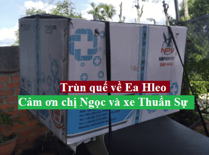 Trùn quế giống Ea Hleo