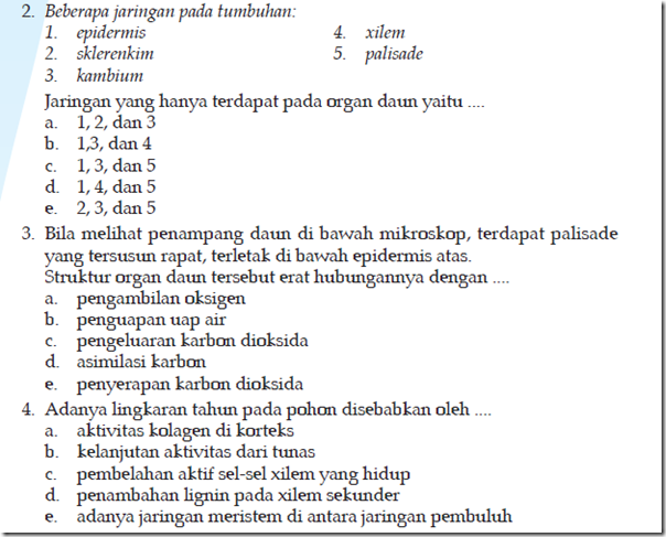 Baru Contoh Soal  Hots Jaringan  Hewan 