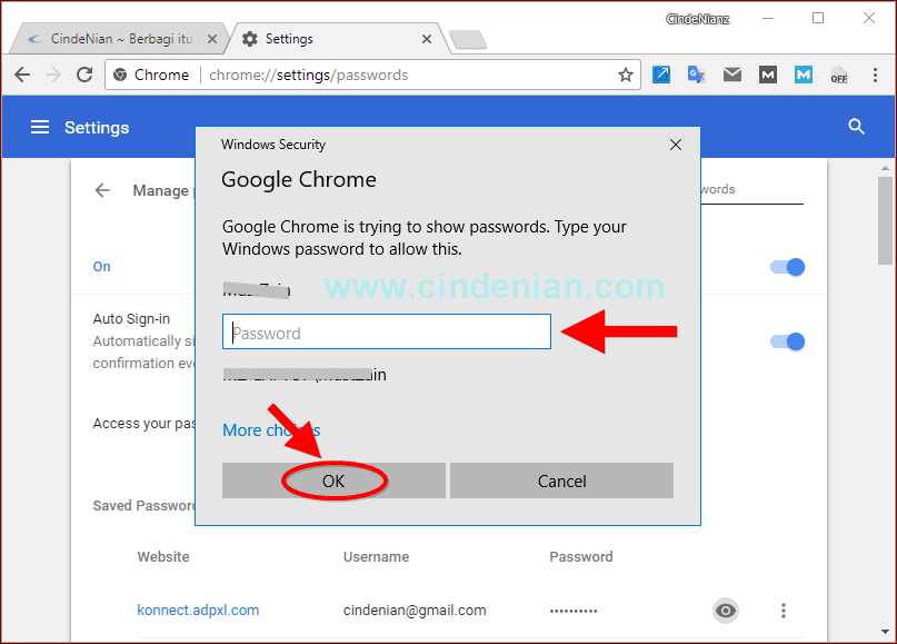 Password pada Google Chrome