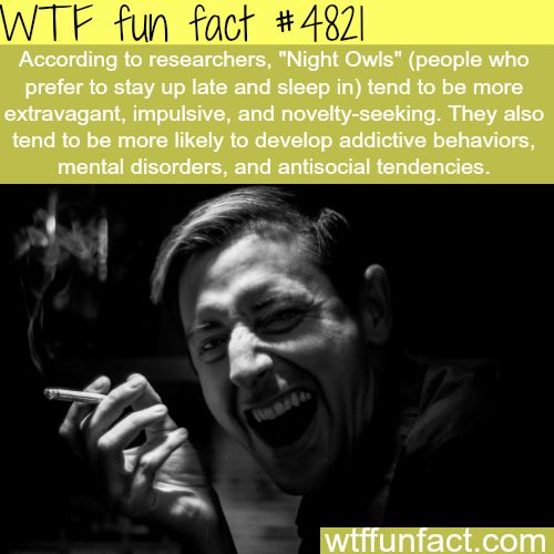 Amazing Random Facts 